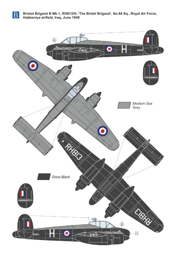 [DMF14423] Bristol Brigand (TF.I, B.1, Met.3, T.4, T.5) - Image 3
